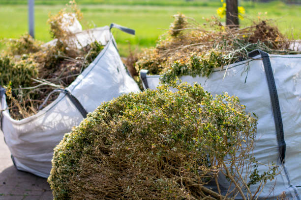 Best Dumpster Rental Services  in Plumas Lake, CA